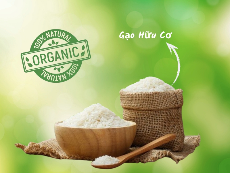 Thực phẩm Organic: Định nghĩa, Lợi ích và Top 10 Cửa hàng Uy tín 2024